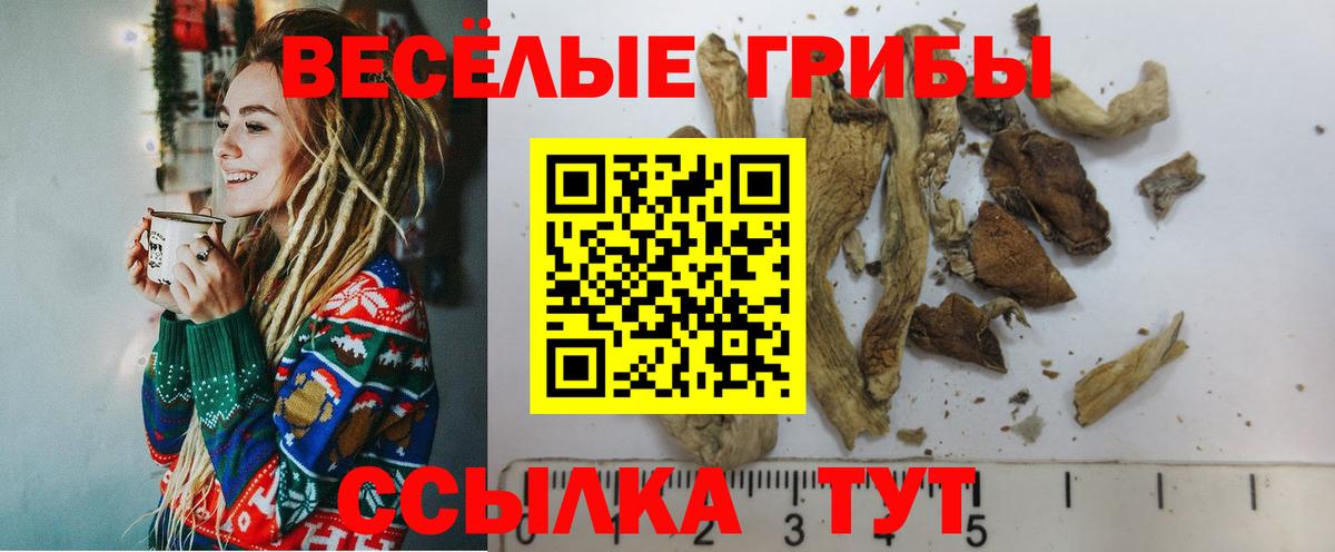 Псилоцибиновые грибы мухоморы Кингисепп